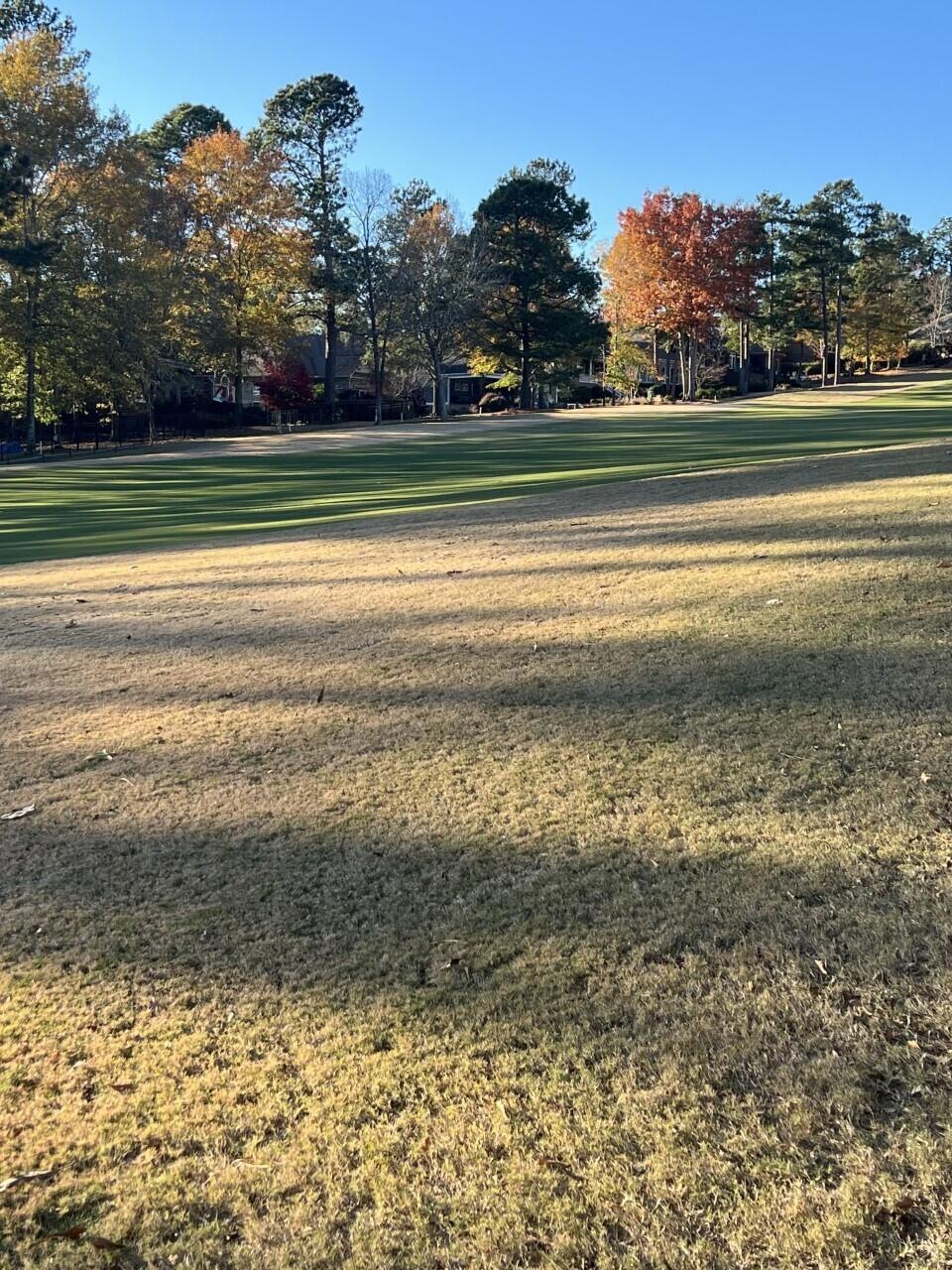 184 Foxhound Run view
