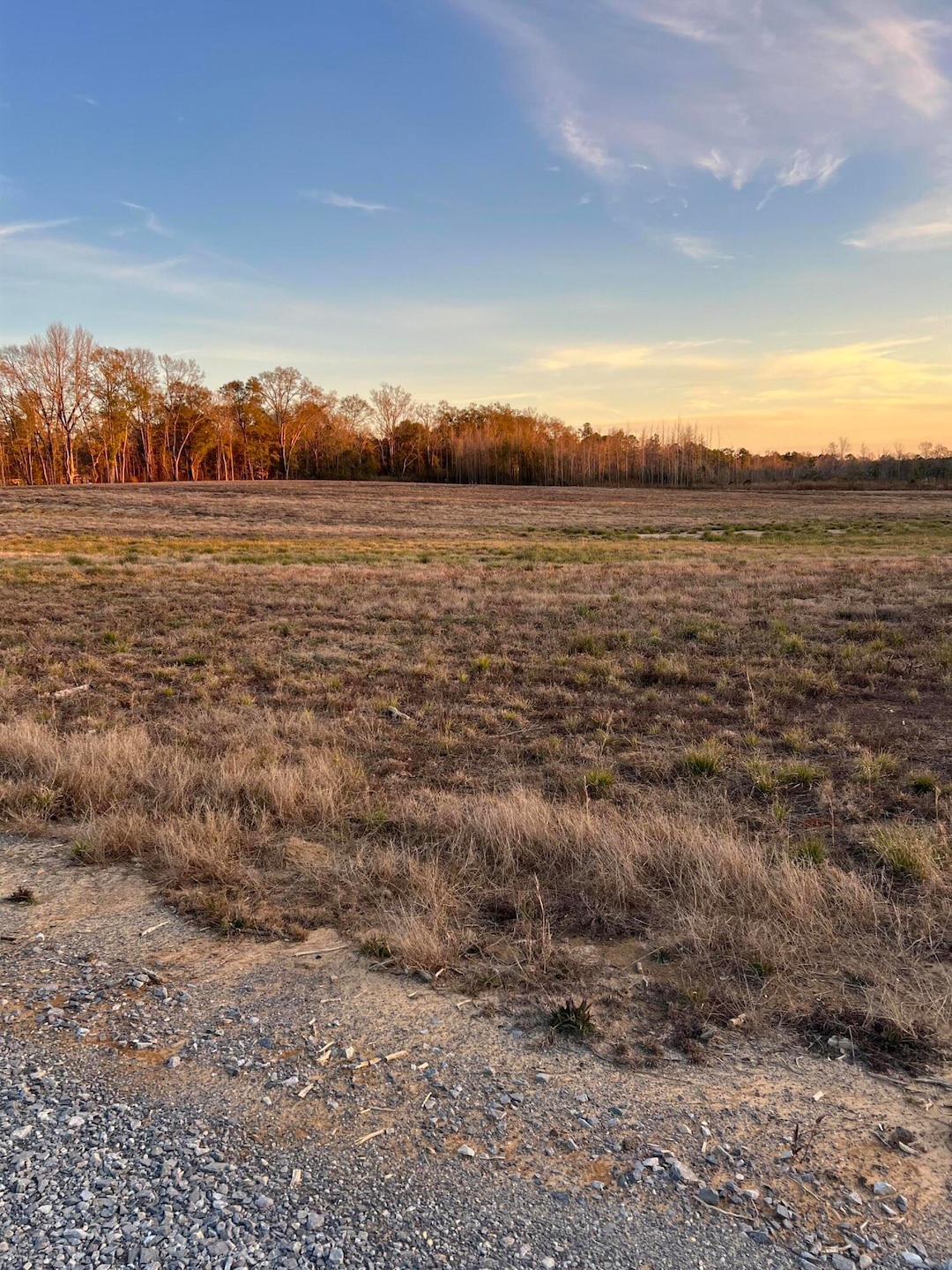 Lot 8 1 ac Patton Creek Rd, Waynesboro, MS 39367 - photo 1