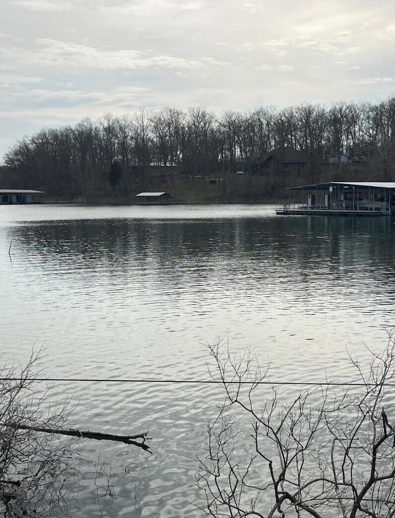 Lake View from Dock Entrance