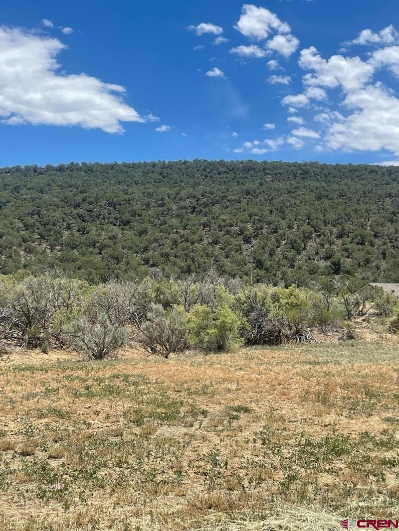 745 SE Pinyon St, Cedaredge, CO 81413 - photo 1