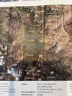 129 Mamalou Ln, Saint Simons Island, GA 31522 - photo 1