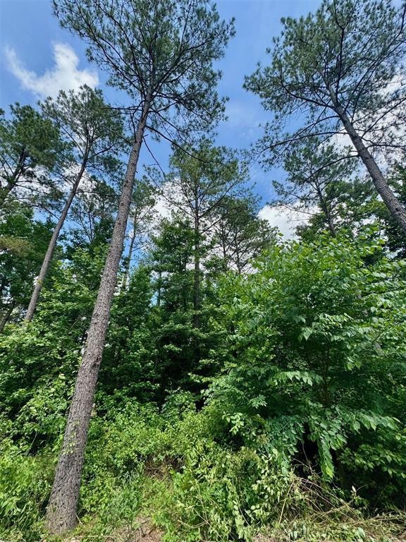 125 Pawpaw Trail, Broken Bow, OK 74728 - photo 1