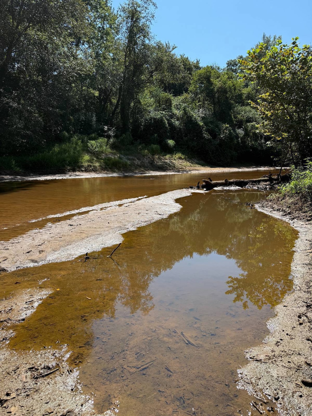 000 Pleasant Ridge Rd, Hickory, MS 39332 - photo 1