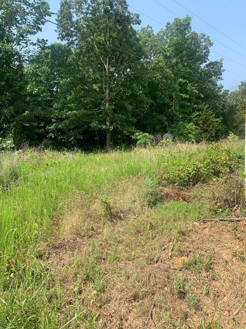 U-1 U-1, Doniphan, MO 63935 - photo 1