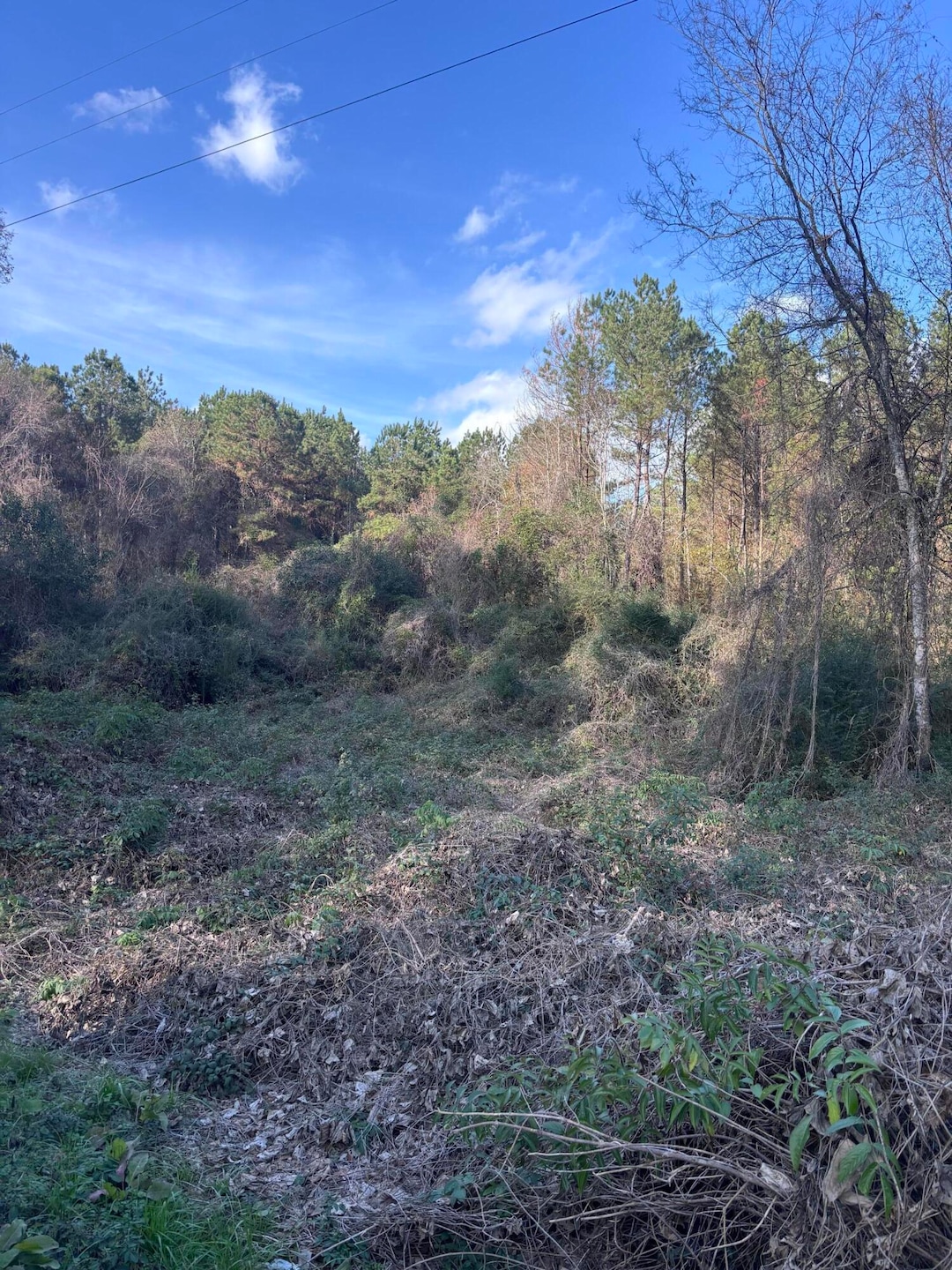 00 Jones Rd, Foxworth, MS 39483 - photo 1