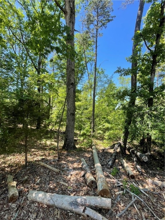 0 Filkins Ln, Bella Vista, AR 72714 - photo 1