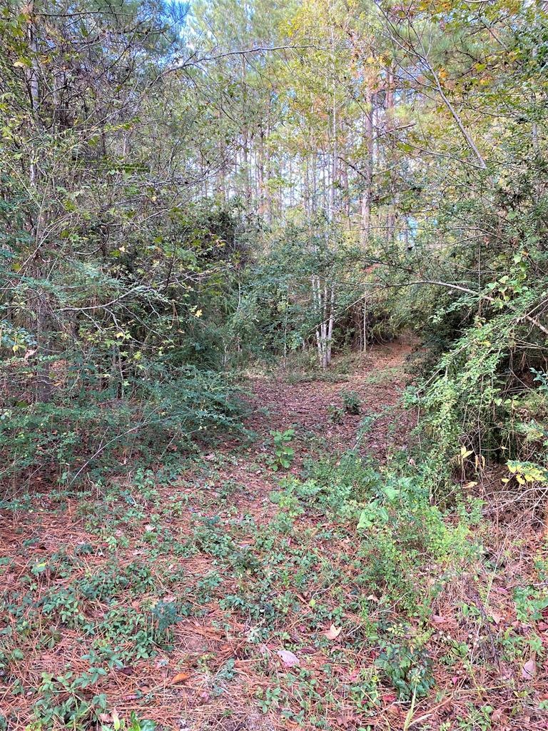 7782 State Hwy 7 W, Nacogdoches, TX 75964 - photo 1