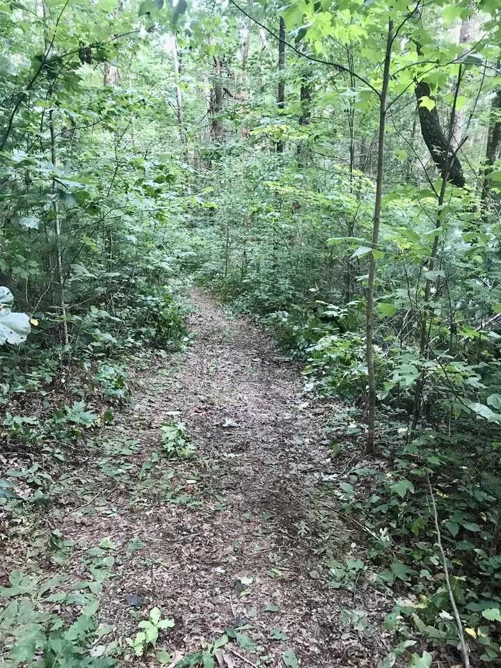 Sold $229,000 • Co-Listing Agent