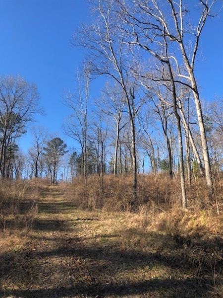 Entrance-way and road frontage to this 22.1 acres 
