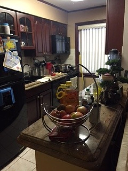 15 Manchester Place, Newark, NJ 07104 - photo 1