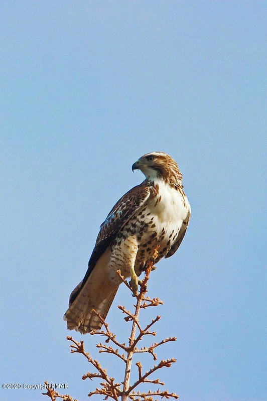 664-665 Raccoon Ct, Lehman Township, PA 18324 - photo 1