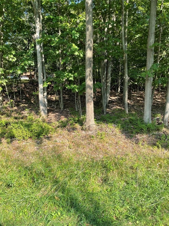 16 Stanford Rd, Binghamton, NY 13903 - photo 1