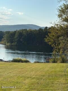 61 Tor Ct, Pittsfield, MA 01201 - photo 1