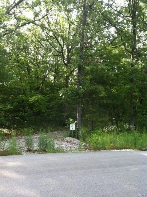 21225 Tranquil Ln, Devils Elbow, MO 65457 - photo 1