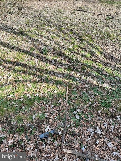 320 Wright St, Philadelphia, PA 19128 - photo 1