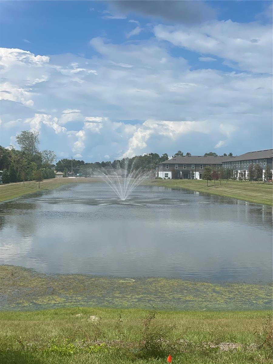 Pond View