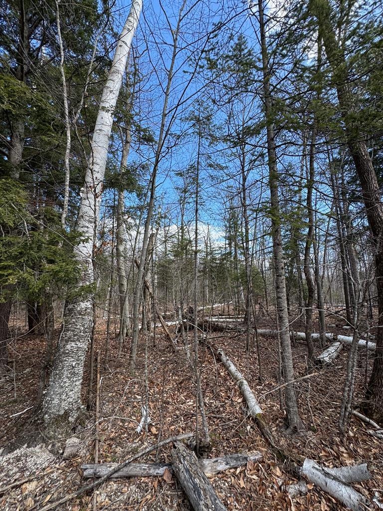 Sold $74,900