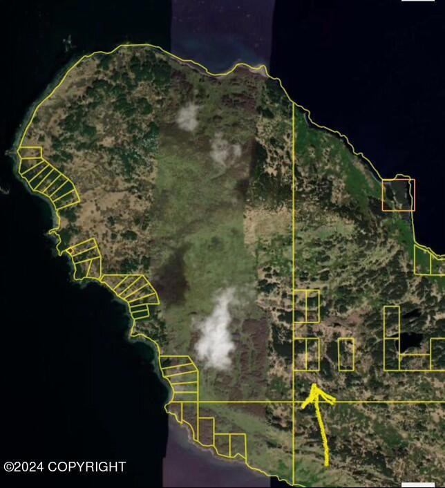 Tr D ASLS 90-170 Kupreanof Peninsula, Port Lions, AK 99615 - photo 1