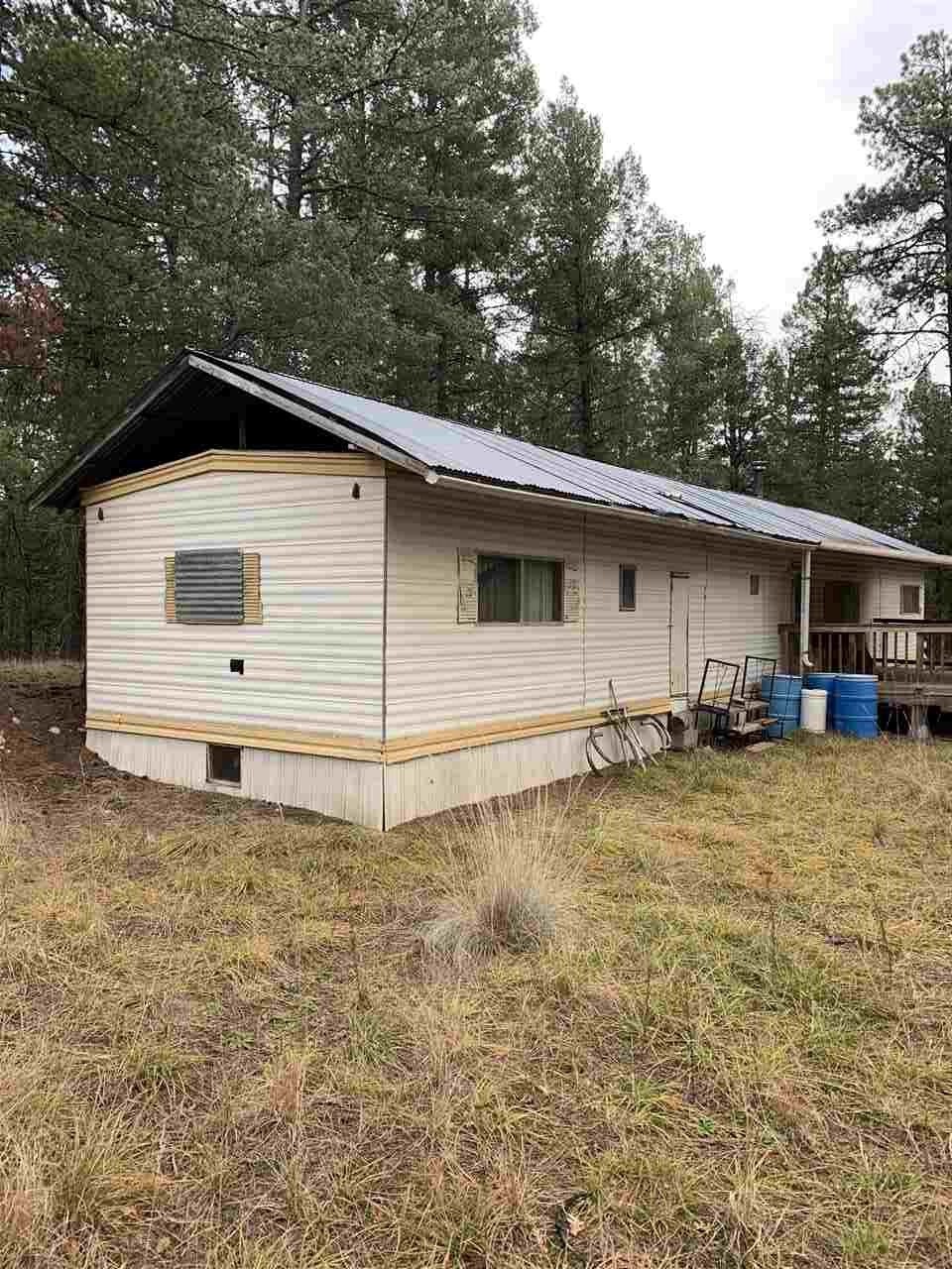 44 Pinos Altos, Mayhill, NM 88339 - photo 1