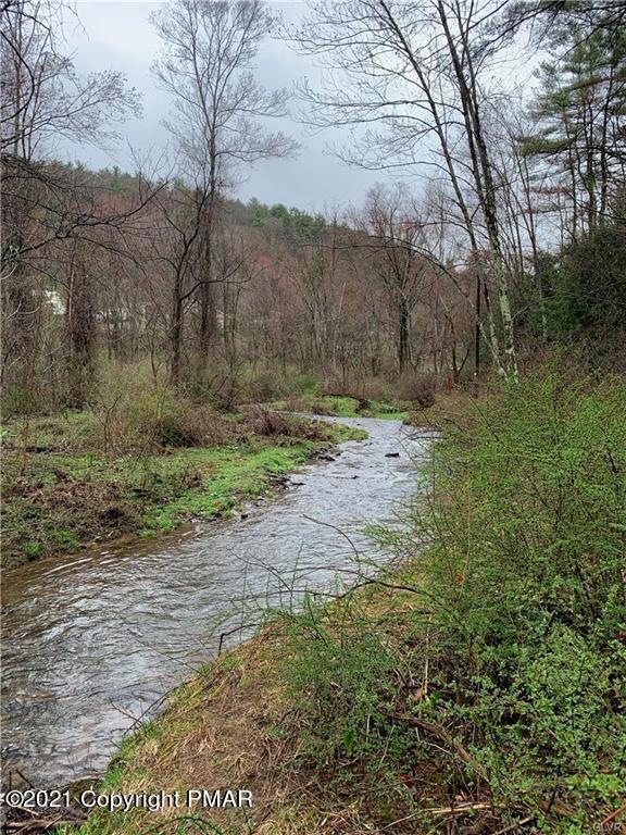 0 Fiddletown Rd unit PM-86825, Eldred Township, PA 18058 - photo 1