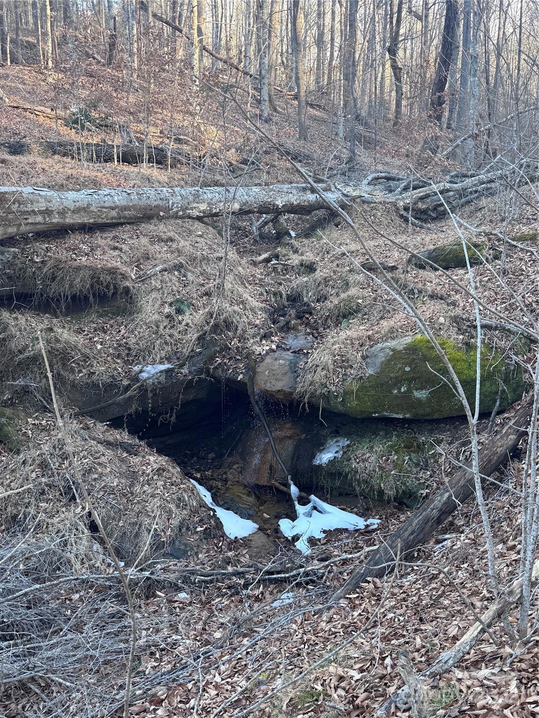 0 Creekside Cir unit 126 CAR4215345, Rutherfordton, NC 28139 - photo 1