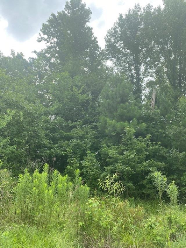 Lot 20 Heather Dr, Texarkana, TX 75501 - photo 1