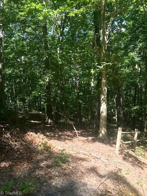 00 Hannah Dr, Asheboro, NC 27205 - photo 1