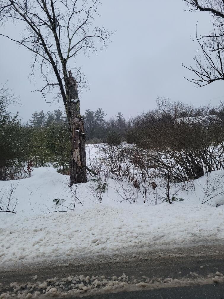 Lot D Middle Ridge Rd, Bridgton, ME 04009 - photo 1