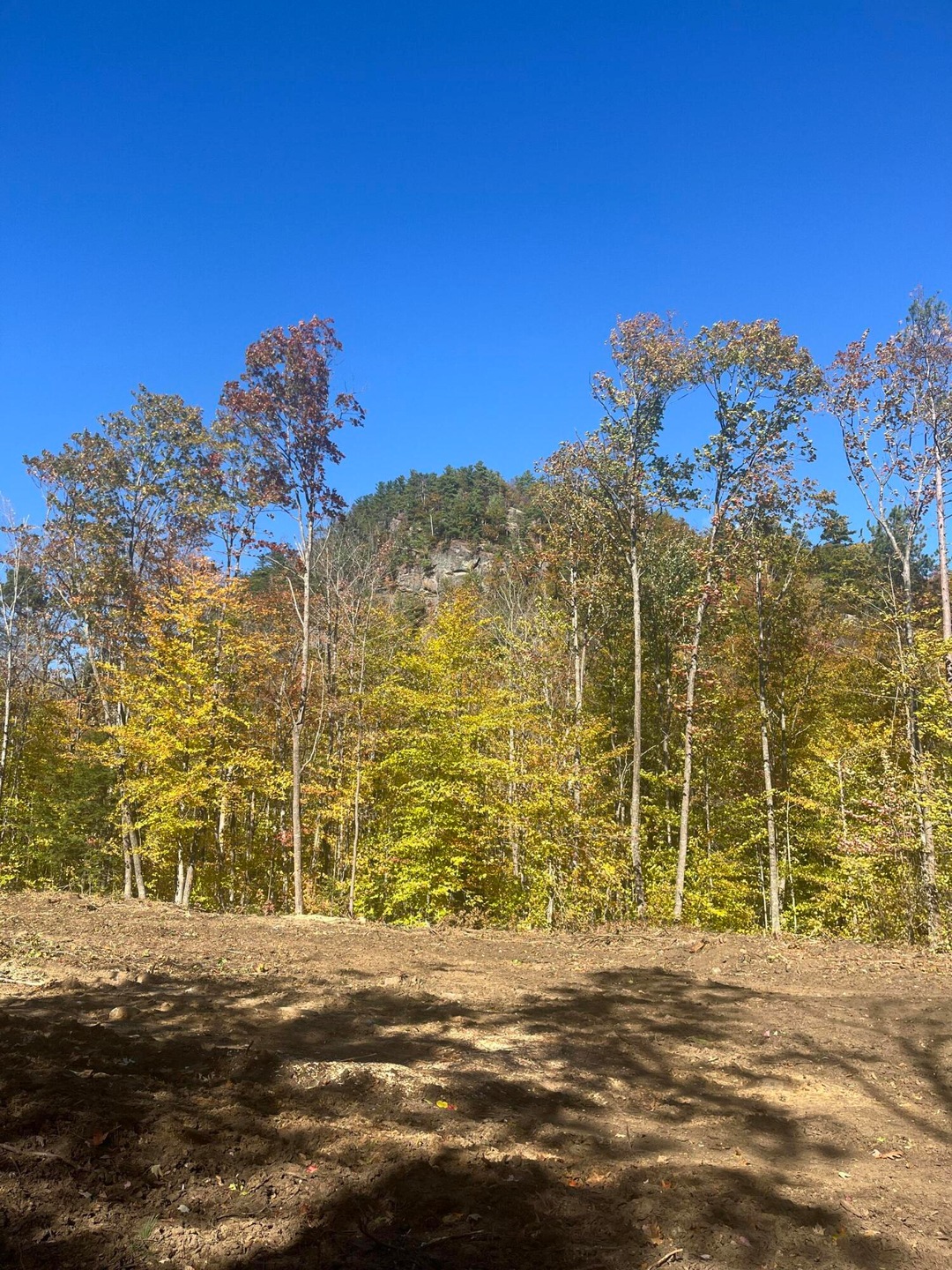 Sold $149,500 • Co-Listing Agent