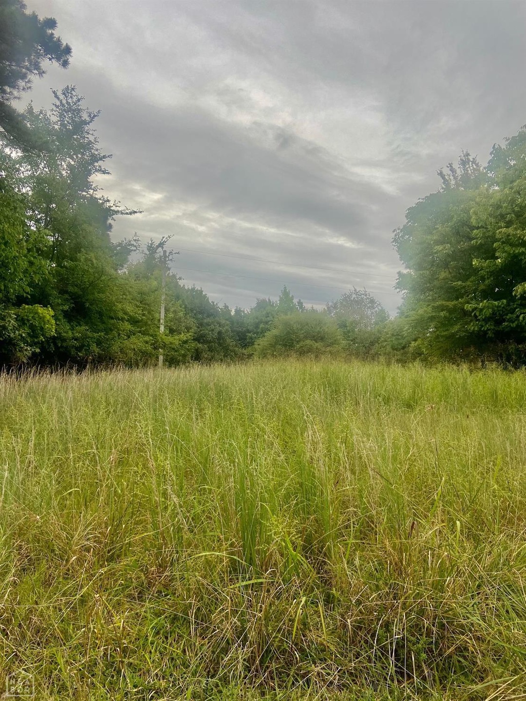 2053 Greene 624 Rd, Paragould, AR 72450 - photo 1