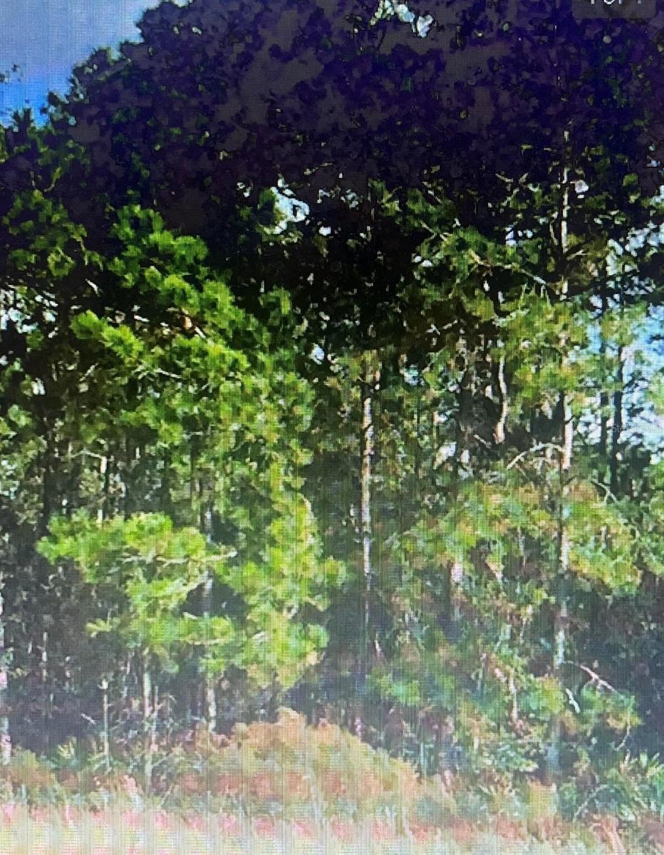 0 Unassigned Location Re unit MFRTB8450672, Archer, FL 32618 - photo 1