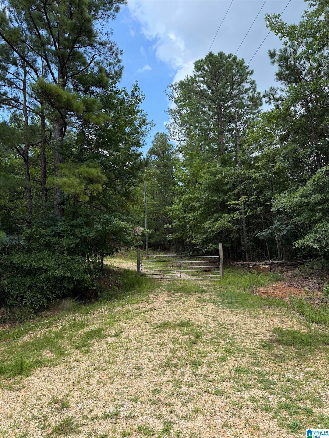 2718 Old Woodstock Rd, West Blocton, AL 35184 - photo 1