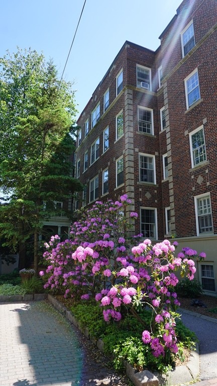 32 Shepard St unit 42, Cambridge, MA 02138 - photo 1