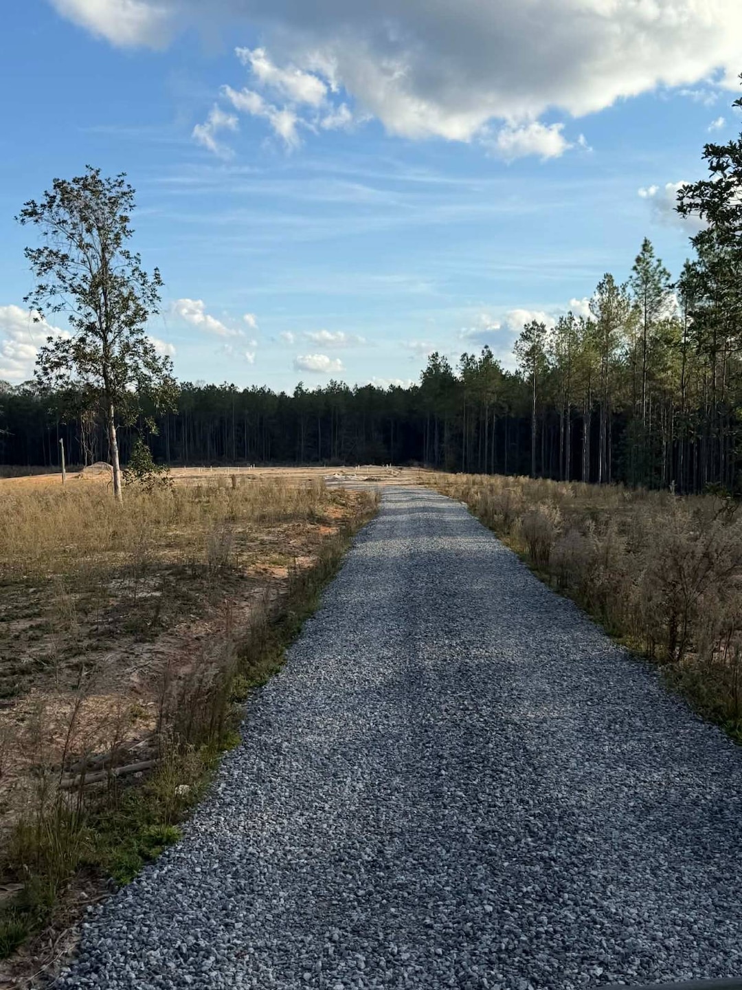 108 Meadowview St, Jena, LA 71342 - photo 1