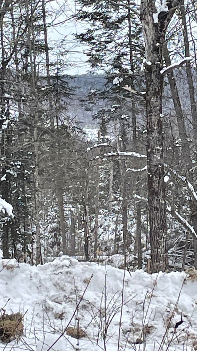 2137 N Littleton Rd, Littleton, NH 03561 - photo 1