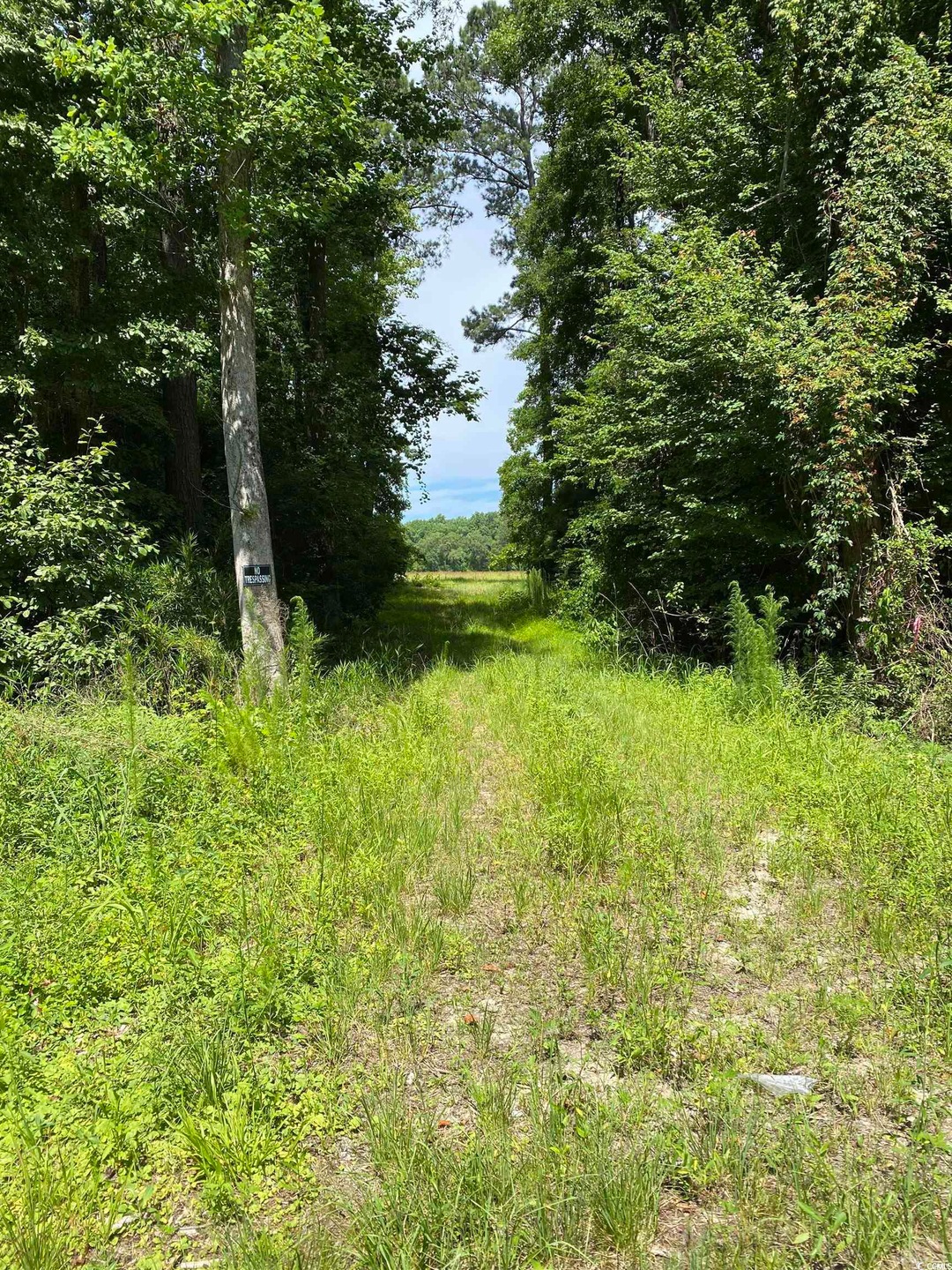 TBD Boggy Rd unit 310 Laurel St., Conway, SC 29526 - photo 1