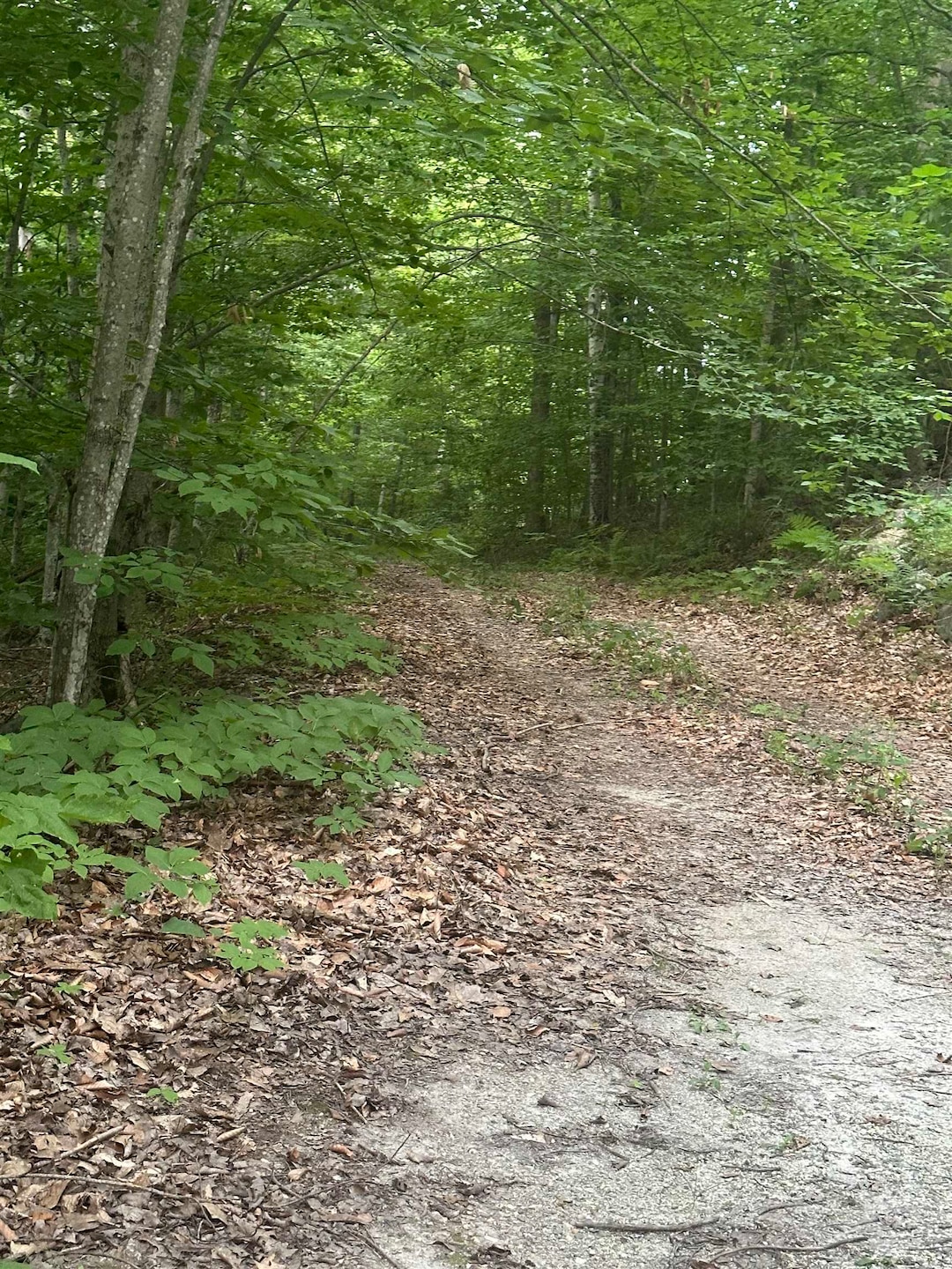 51 Crane View Dr, Salisbury, VT 05769 - photo 1