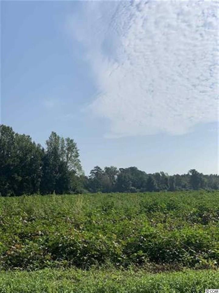 TBD Jamie Rd unit Lot G, Aynor, SC 29511 - photo 1