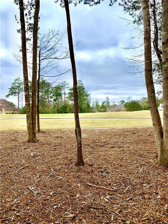Gorgeous Estate Sized lot, with amazing golf cours
