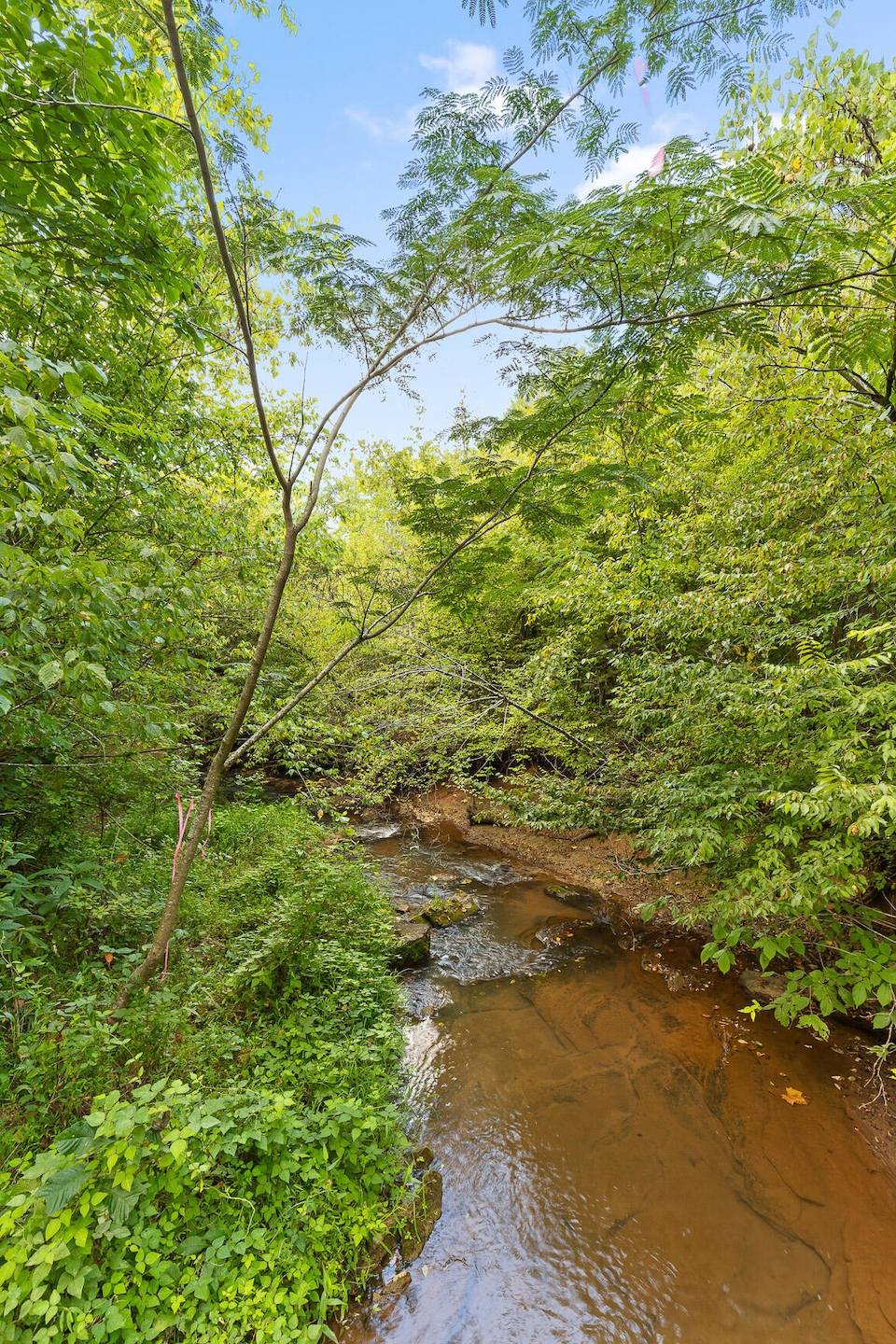 1216 Shoal Creek Rd, Tellico Plains, TN 37385 - photo 1