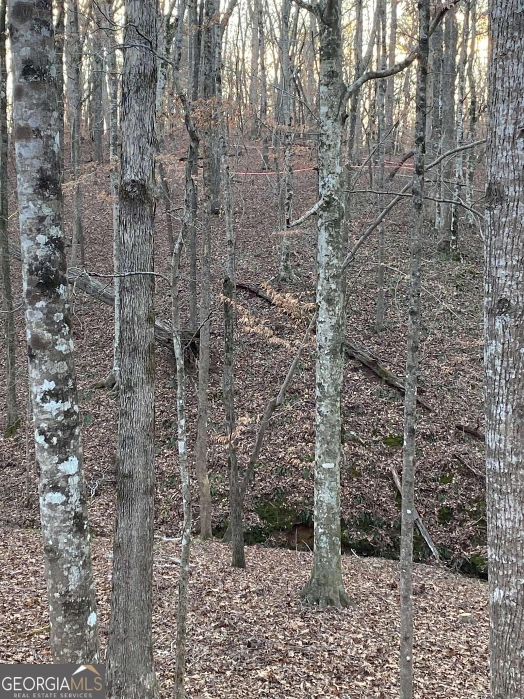 3089 Chattahoochee Trace, Gainesville, GA 30506 - photo 1