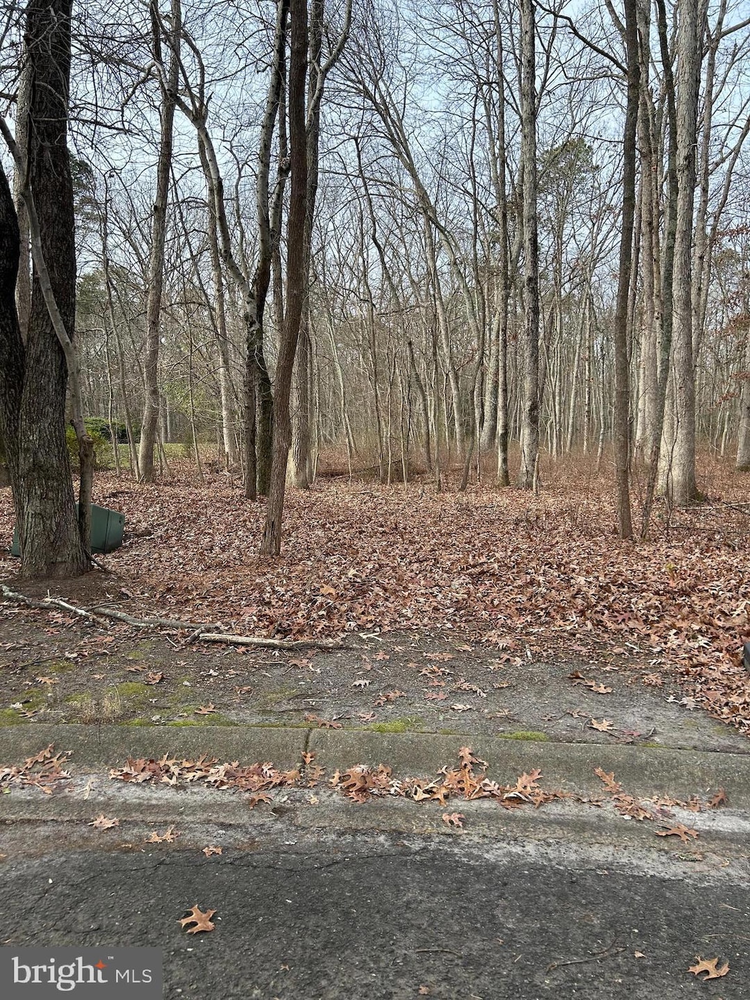 30 Muskingum Dr, Shamong, NJ 08088 - photo 1