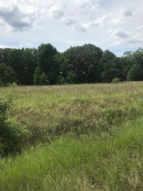 952 Jw Warren Rd, East Dublin, GA 31027 - photo 1