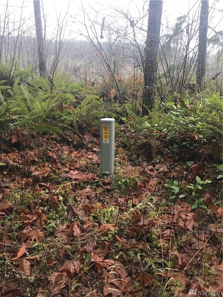 0 Kinsman Ct E unit 1395445, Roy, WA 98580 - photo 1