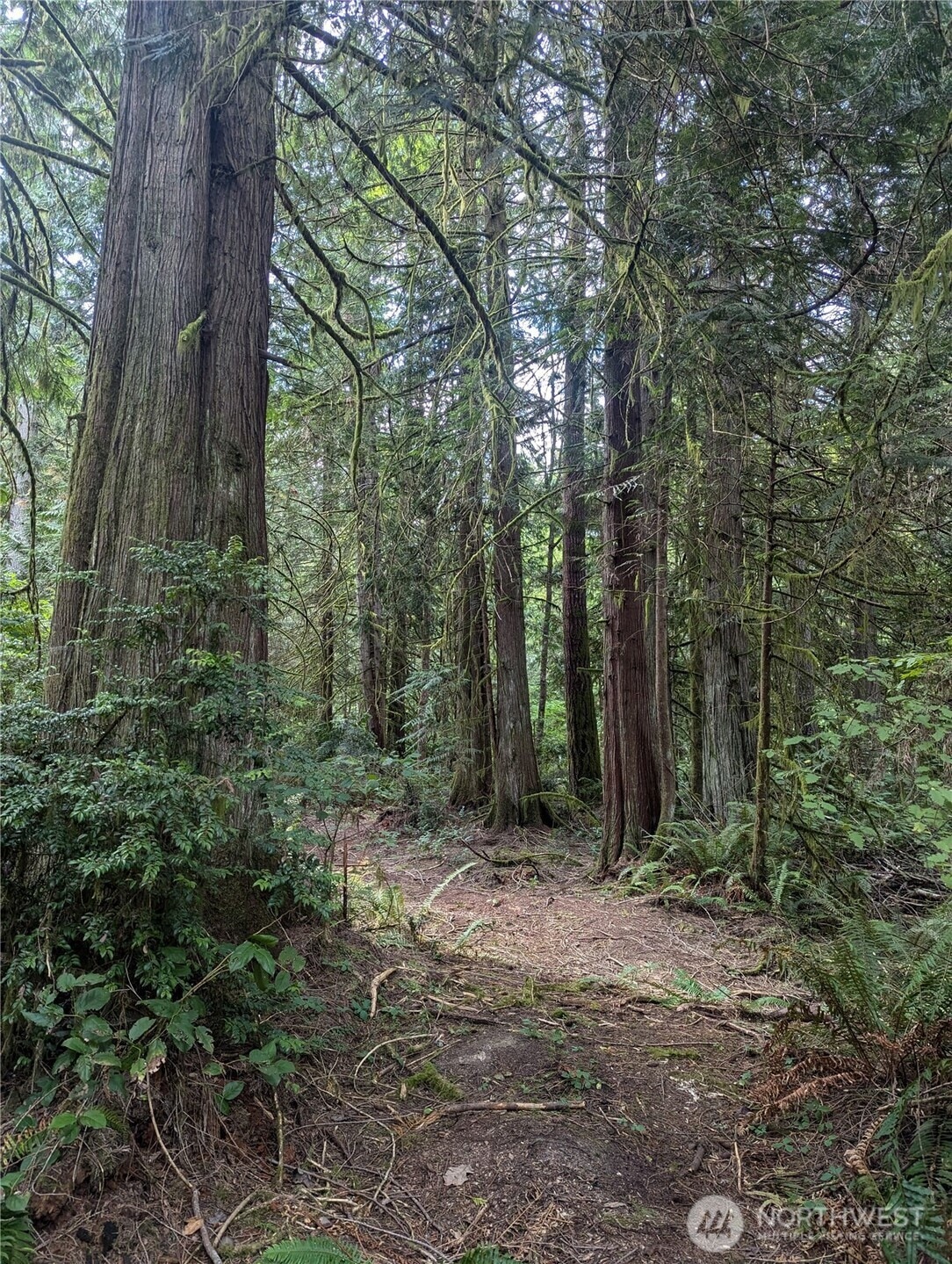 8900 Adams Ln NW, Olympia, WA 98502 - photo 1