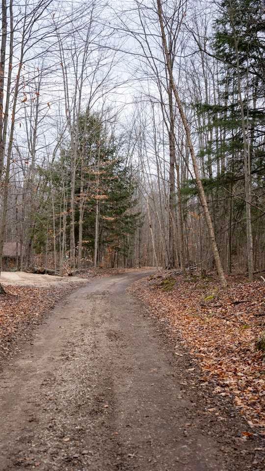 TBD Brookwood Hills Dr, Jordan Township, MI 49727 - photo 1