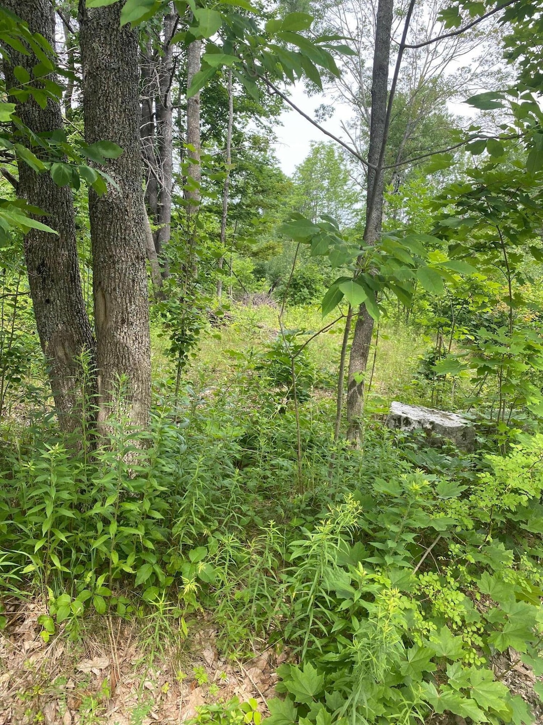 Lot 14 High St, Hallowell, ME 04347 - photo 1