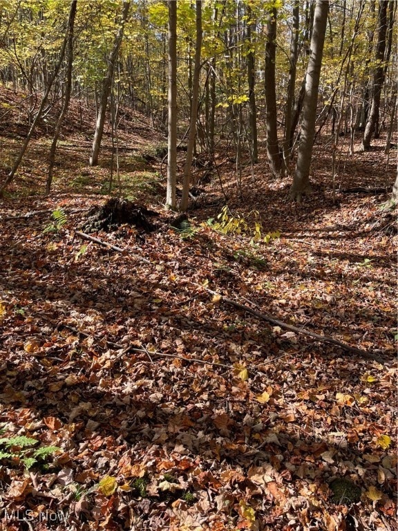 S/L 5 Ridge, Chardon, OH 44024 - photo 1