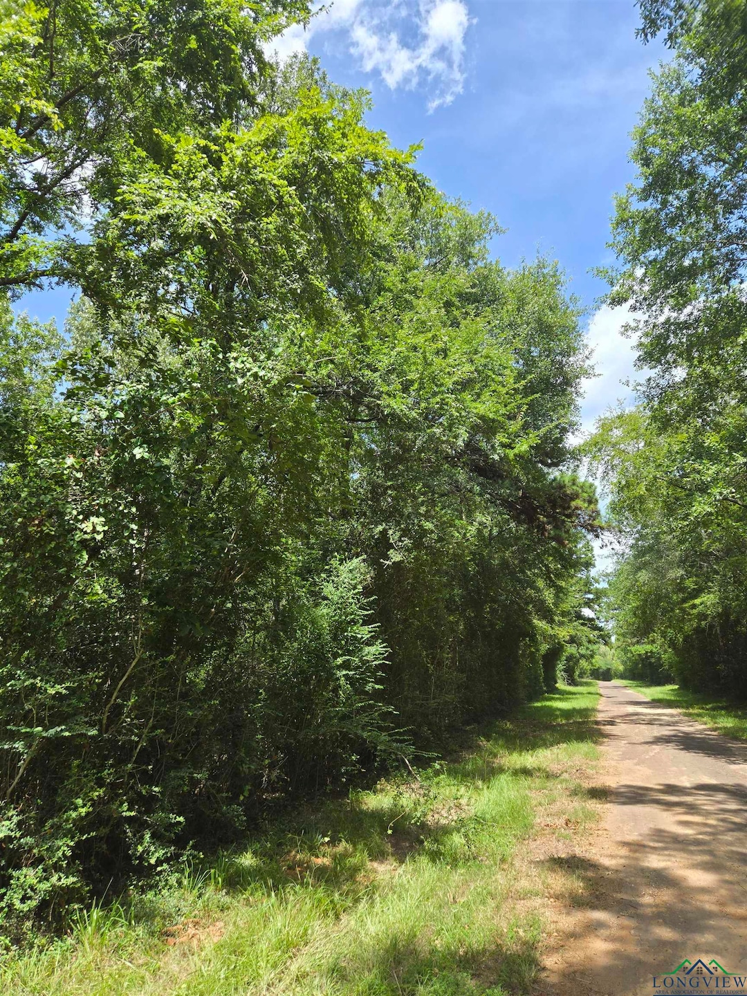 View of dirt / gravel road featuring a view of trees