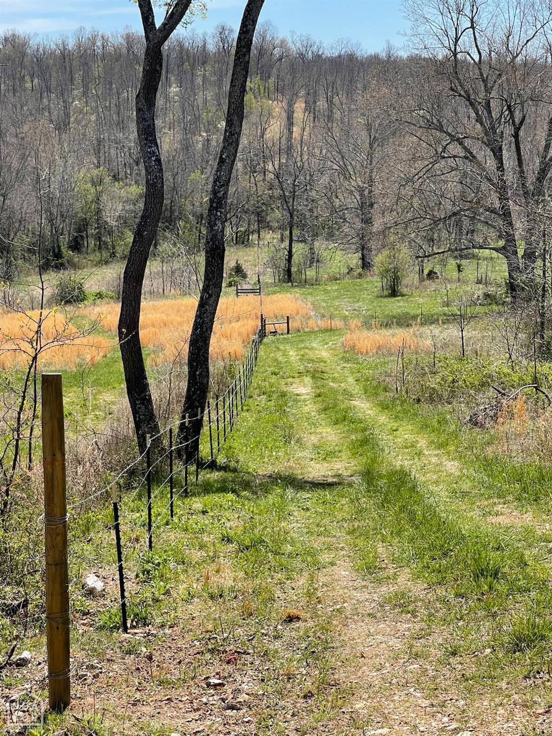 0 Rainbow Valley Trail unit 10124467, Mammoth Spring, AR 72554 - photo 1